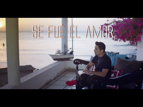 SE FUE EL AMOR / DAVID CAÑIZARES