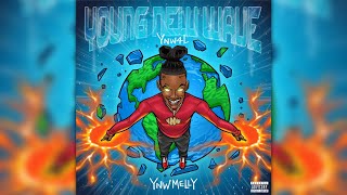 YNW Melly - Young New Wave (Full Album)