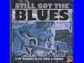 Eddy Wilson's Blues Band & Friends Still Got ...