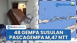 48 Kali Gempa Bumi Susulan Guncang Flotim-Lembata, BMKG Sebut Akibat Sesar Aktif