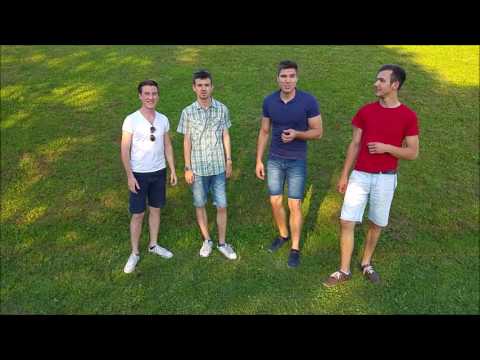 47 Festival Števerjan 2017 - Vabilo Ans. Prisrčni Fantje