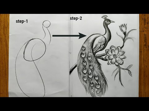 how to draw a peacock step by step,easy peacock drawing,how to draw a peacock by pencil sketch