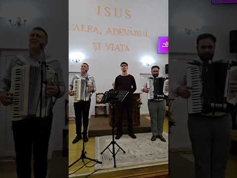 Tu îmi ești izvorul vieții. Ilie, David și Abel Puha