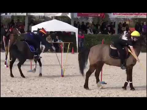 Trofeo 4 Regioni 1° Tappa Sommacampagna