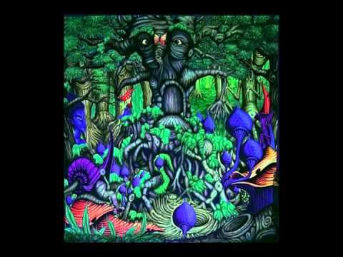 Ace Ventura - Dark Matter (Egorythmia Remix).wmv