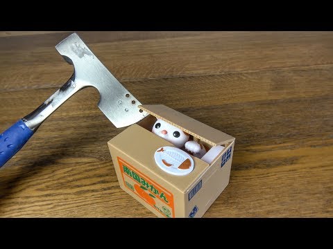 What's inside a Cat Coin Bank?