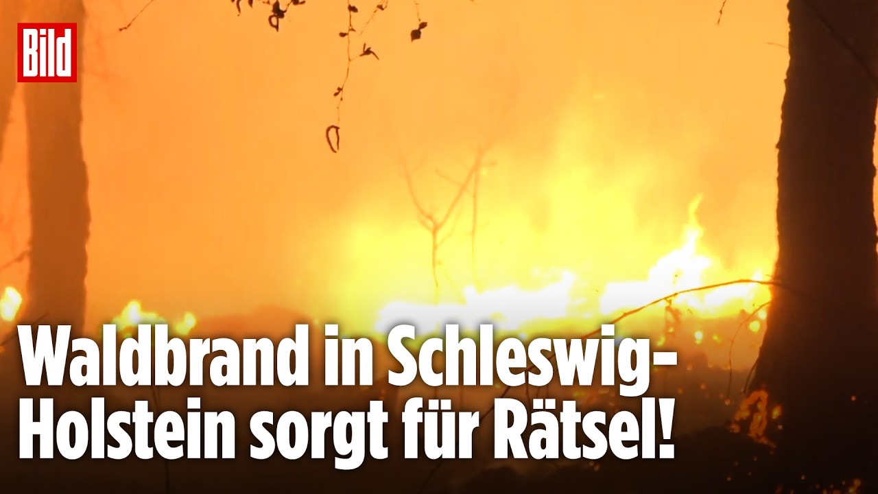Inferno in Schleswig-Holstein: 4.000 Quadratmeter-Waldbrand im Moorgebiet sorgt für Rätsel!