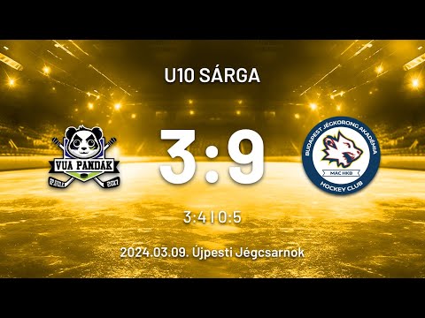 VUA PANDÁK vs MAC BUDAPEST B   HD 1080p