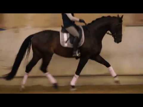 Banderas training Sept.17