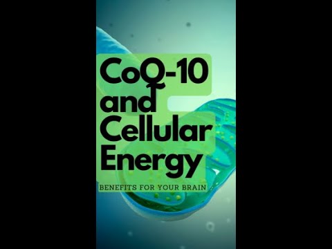 The Most Potent Fuel For Your Mitochondria