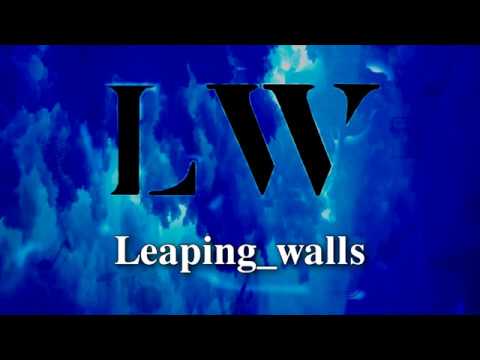 Incomprensible Amor - New Wine