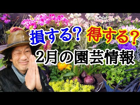  2月は庭で何をしましょうか？最初に植える種と忘れてはならない準備!  庭園