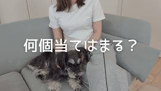 HSS型HSPって何？🐻「刺激が欲しいけど疲れる」正体