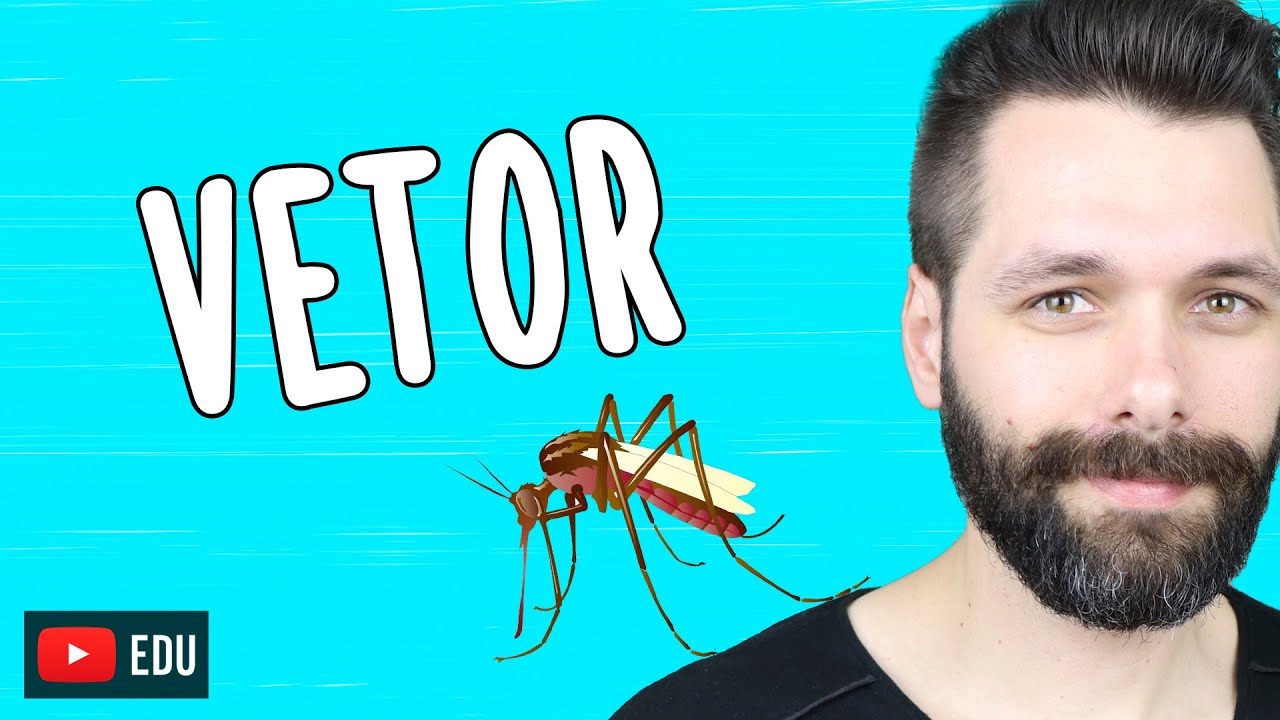 VETOR BIOLÓGICO E VETOR MECÂNICO | Biologia com Samuel Cunha