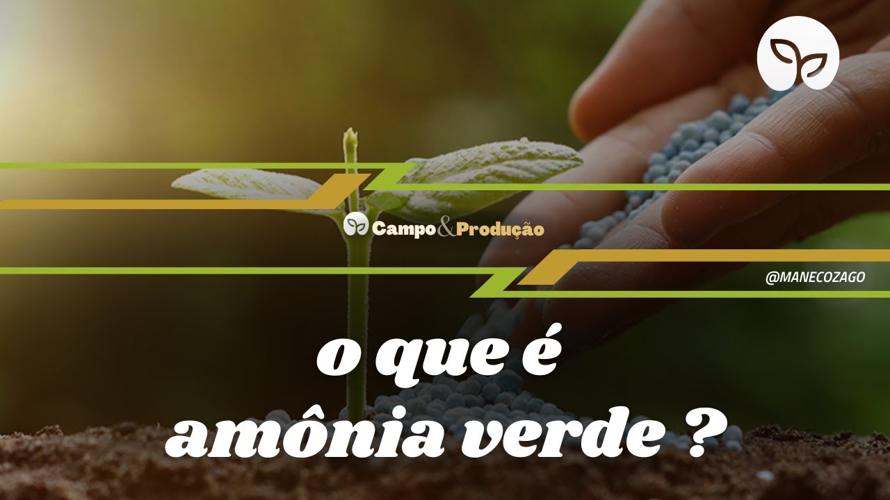 ADUBOS E ADUBAÇÕES / Como é produzida a amônia verde ?