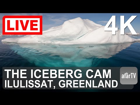 🔴 Live Now: 24/7 Iceberg Cam of Ilulissat, Greenland in 4K Ultra HD