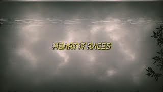 Dr. Dog - Heart It Races (sub español/lyrics)