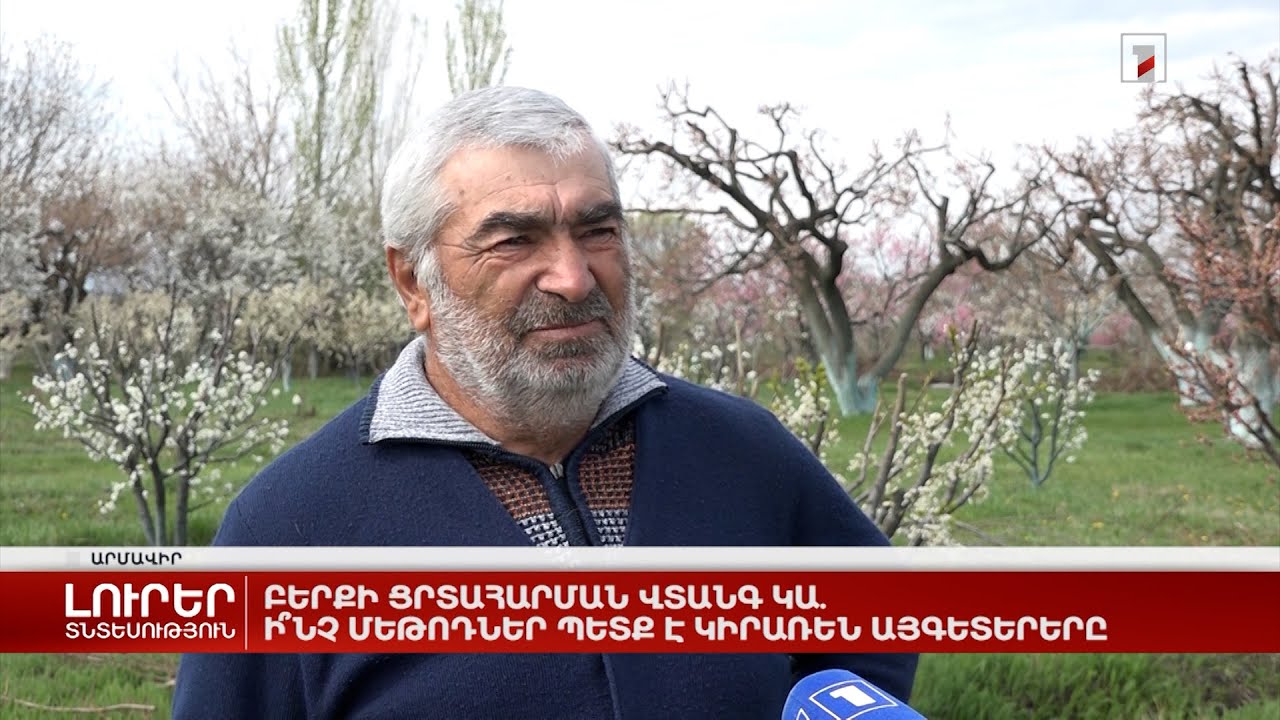 Բերքի ցրտահարման վտանգ կա. ի՞նչ մեթոդներ պետք է կիրառեն այգետերերը