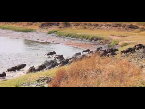 Safari and Beach | Your Ultimate Africa Holiday