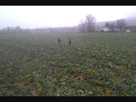 120112 CundCvOsterberg Schnitt vorstehen