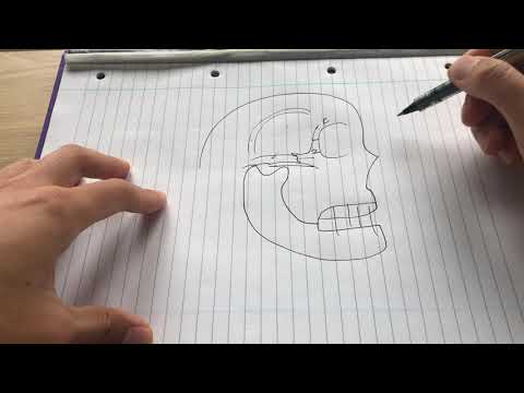 Anatomy of the temporal fossa