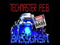 Techmaster P.E.B. - Intellibass
