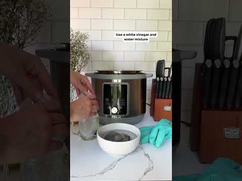 Instant Pot Spring Cleaning