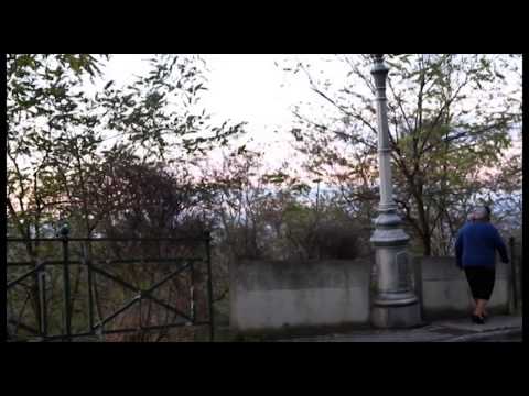 A la sacrés' - Cicuta Quartet