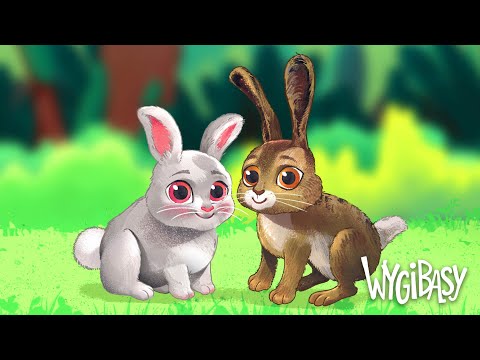 KRÓLIK CZY ZAJĄC  – WYGIBASY TV - piosenki dla dzieci