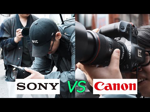 캐논 VS 소니, 사진계의 1등을 가려라