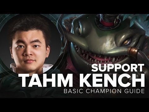Tahm Kench Support solo queue guide by TL Xpecial   Season 5   League of Legends