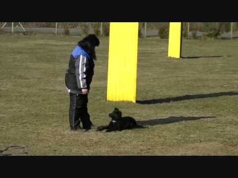 Eassy z údolí Úpy - poslušnost