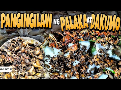 EP957-P2 - Pangingilaw ng Palaka at Dakomo