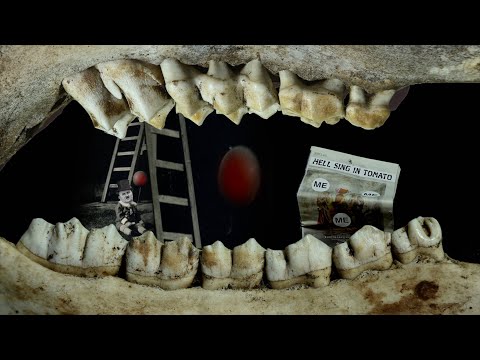 From Behind the Teeth – trailer | IFFR 2025