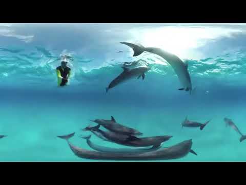 Graad 10's vakkeuses 2021 - Toerisme