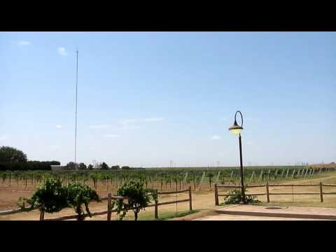 Llano Estacado Winery -- Lubbock, Texas