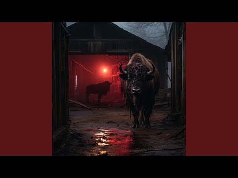 you_used_to_be_beautiful