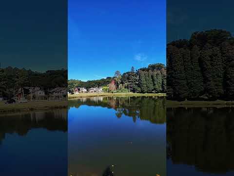 São Francisco de Paula RS #shorts