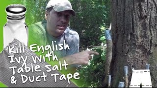 How To Kill English Ivy Vines With Salt &amp; Duct Tape DIY