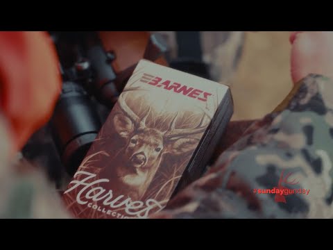 #SundayGunday: Barnes Harvest Ammo