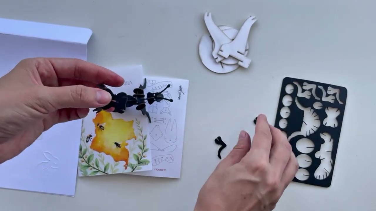 Armando una abeja con Mimi!