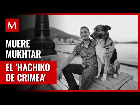 La conmovedora espera de Mukhtar: Un perro que aguardó a su amo por más de 10 años