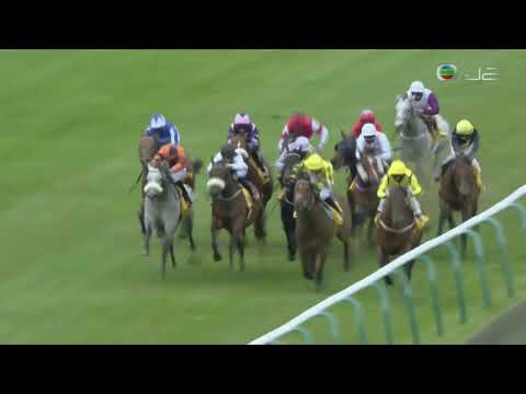 2020 Betfair Backs Racing Welfare Palace House Stakes G3 - Far Above (神遊天外) - P.McDonald