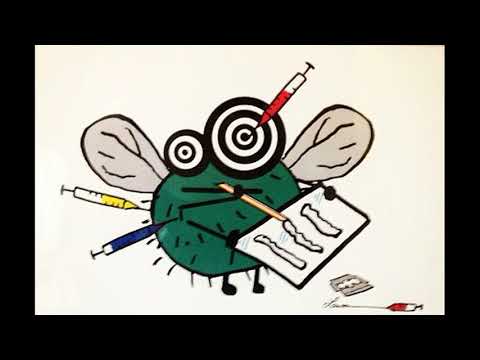 NorissTCM -90GRAD FREESTYLE