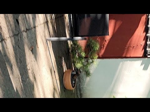 Letnje presađivanje biljaka