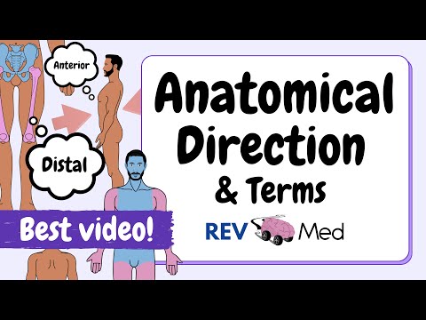 Anatomical Terms: Direction & Position (BEST VIDEO)