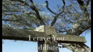 Skillet- Under My Skin (with lyrics)