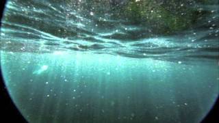 Snorlax - Shore of Consciousness