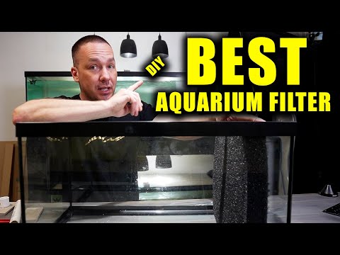 The BEST DIY aquarium filter for any fish tank