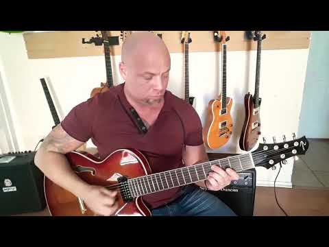 Raines 7 string archtop 2008 image 10